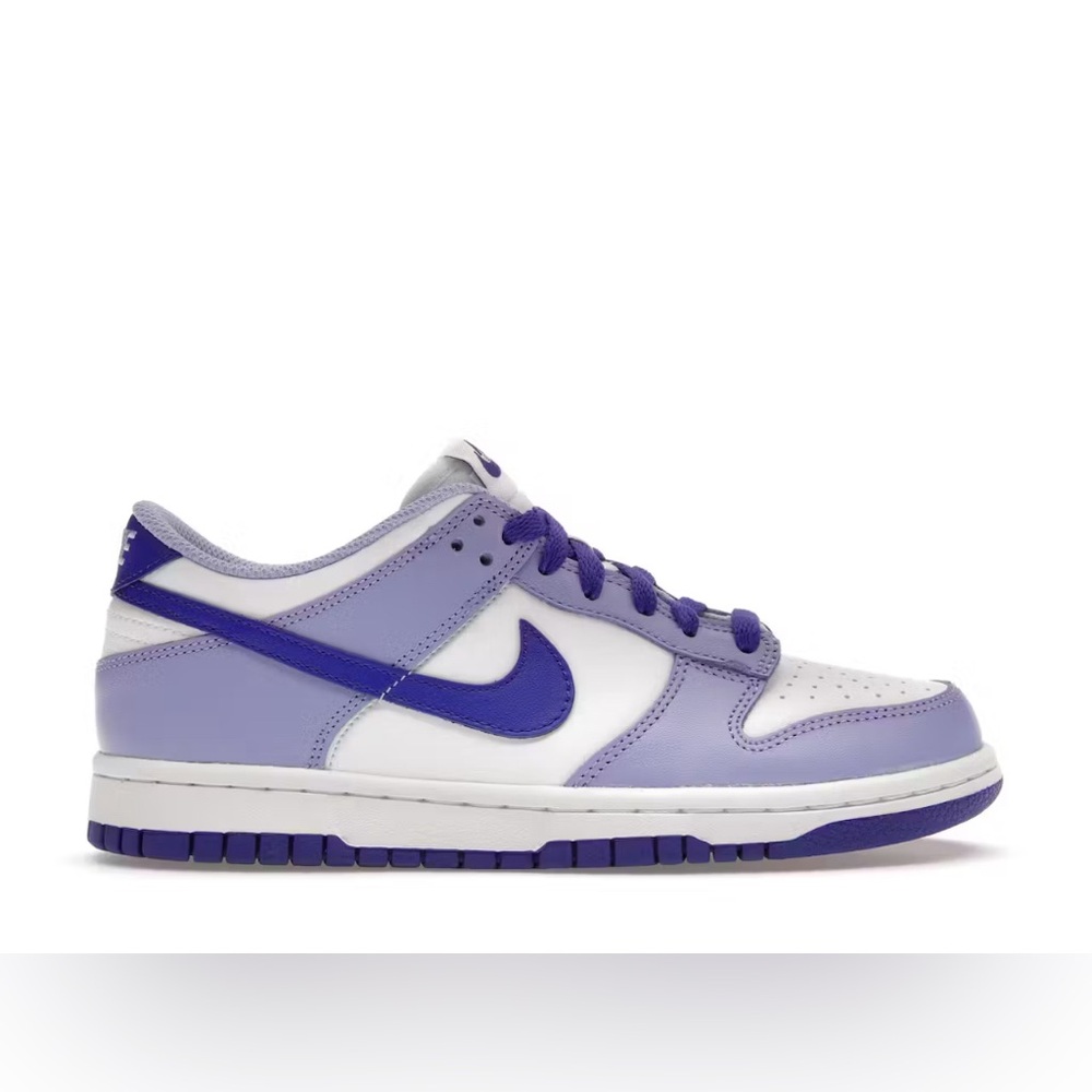 Blueberry Nike Dunk Low